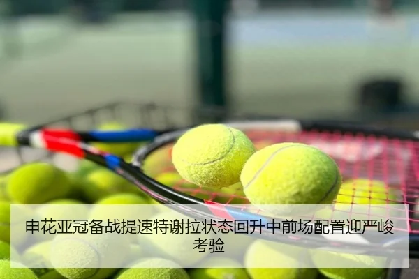 申花亚冠备战提速特谢拉状态回升中前场配置迎严峻考验